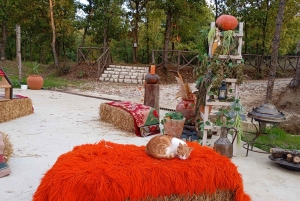 From Tirana: Berat Exploring Tour, Belshi Lake & Agrotourism