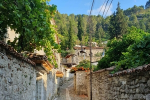 From Tirana: Berat Exploring Tour, Belshi Lake & Agrotourism