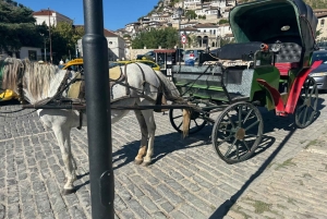 From Tirana: Berat Exploring Tour, Belshi Lake & Agrotourism