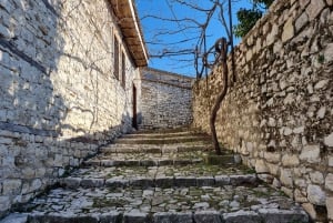 De Tirana: Excursão de 1 dia a Berat