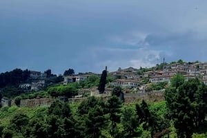 From Tirana: Berat Full-Day Tour