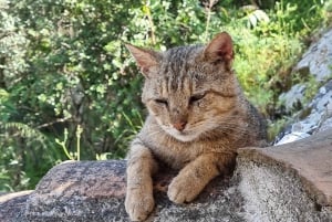 From Tirana: Berat Full-Day Tour