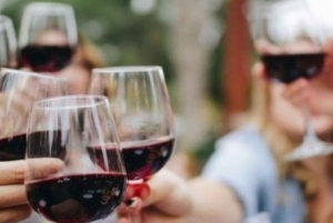 Fra Tirana: Kapp Rodons slott, strand og vinsmaking