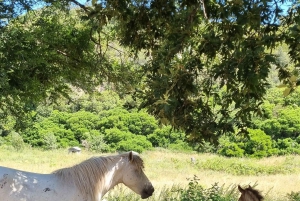 From Tirana: Cape of Rodon Sunset Photography Tour & Hiking!