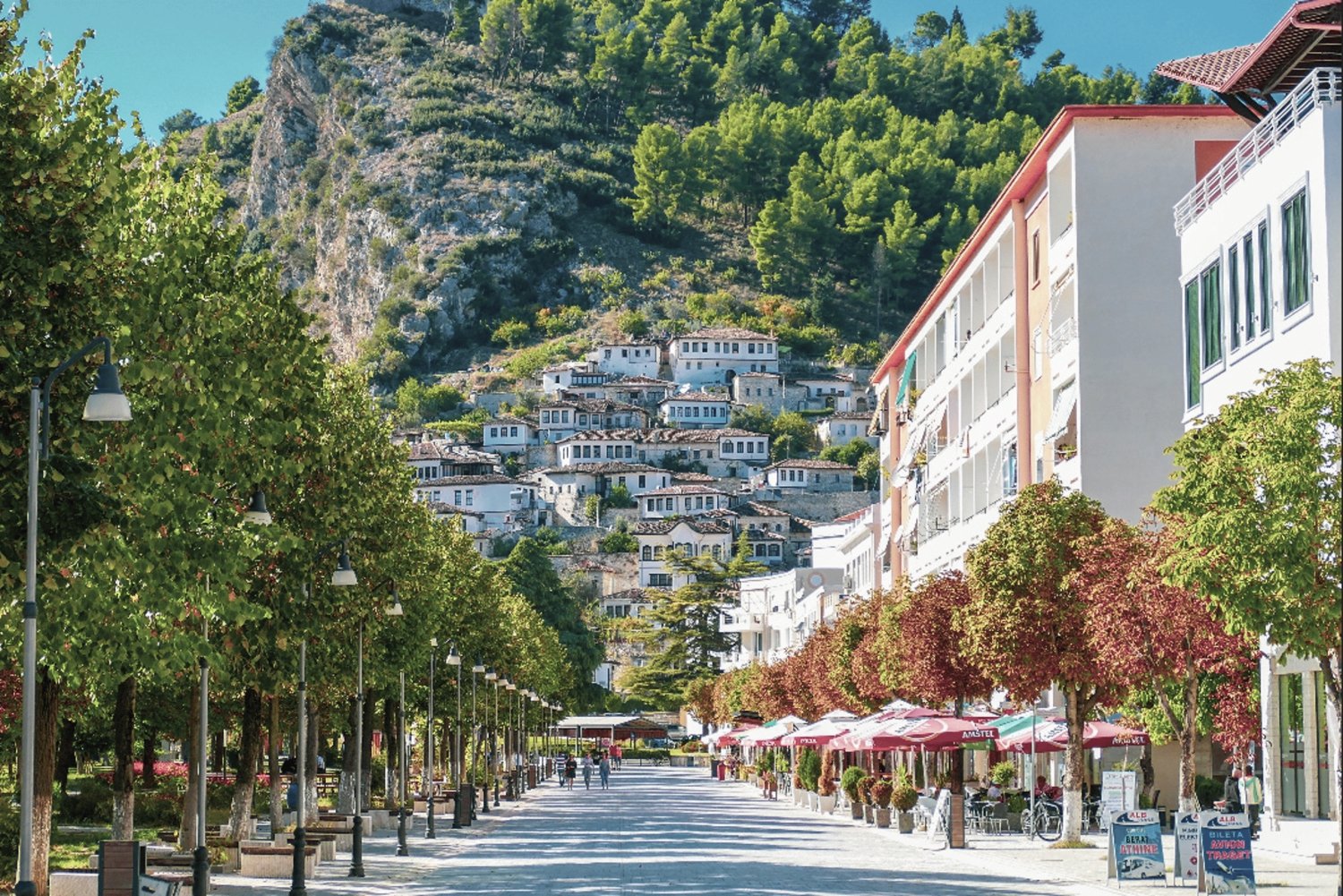 Från Tirana: Daglig rundtur till Berat | UNESCO & Belsh (vingård)