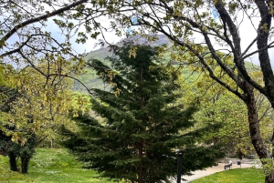 Depuis Tirana : Mont Dajti avec billet de téléphérique