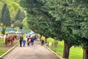 Depuis Tirana : Mont Dajti avec billet de téléphérique