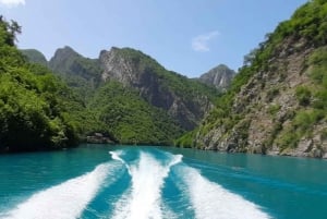 Wine Tasting & Vineyards Escape near Tirana