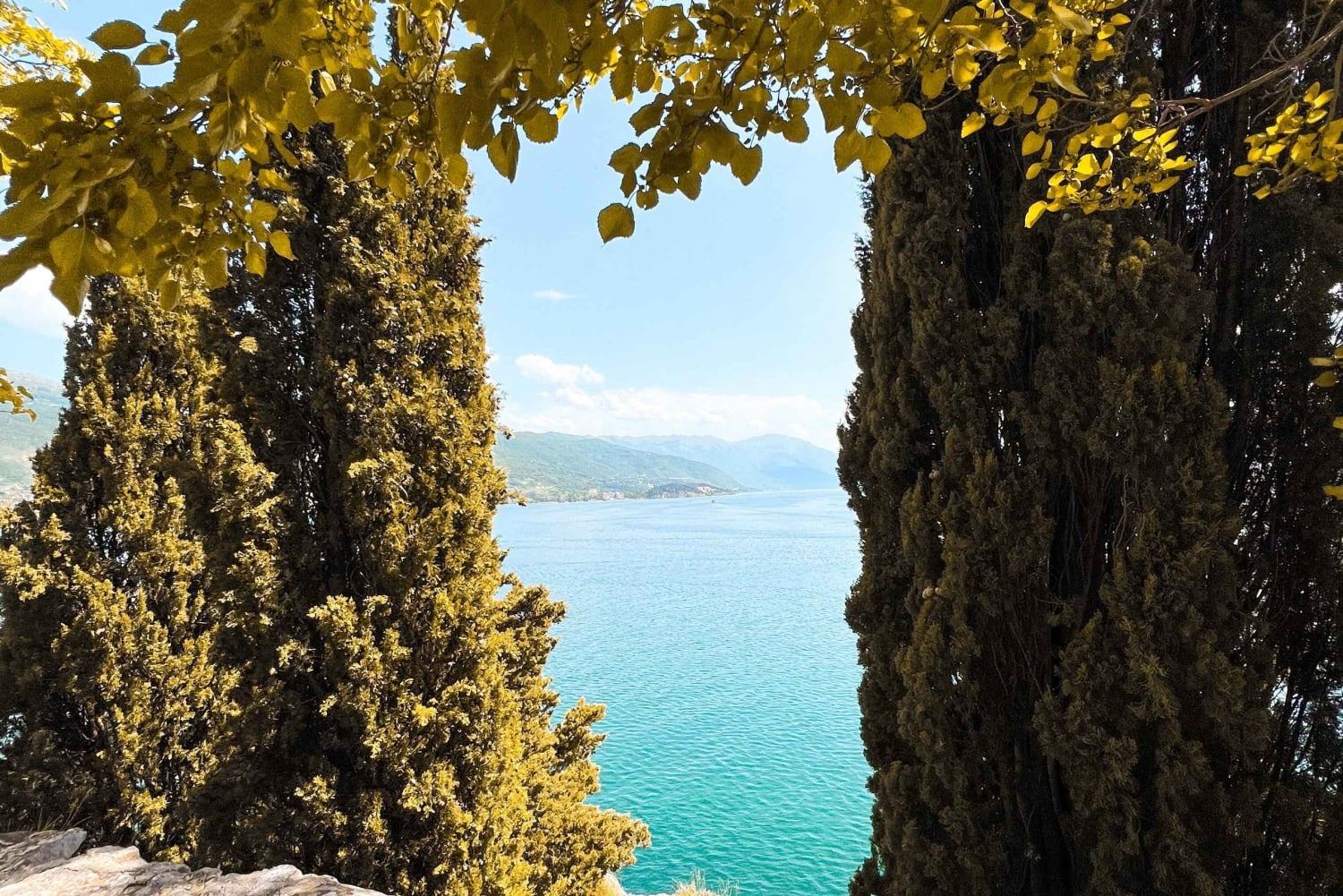 Från Tirana, dagstur: UNESCO-världsarvet Ohridsjön