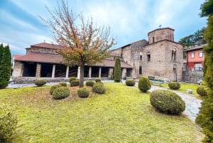 Från Tirana, dagstur: UNESCO-världsarvet Ohridsjön