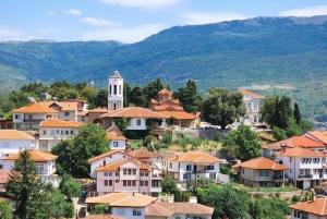 Från Tirana, dagstur: UNESCO-världsarvet Ohridsjön