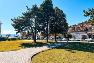 Från Tirana, dagstur: UNESCO-världsarvet Ohridsjön