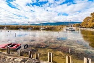 Från Tirana, dagstur: UNESCO-världsarvet Ohridsjön