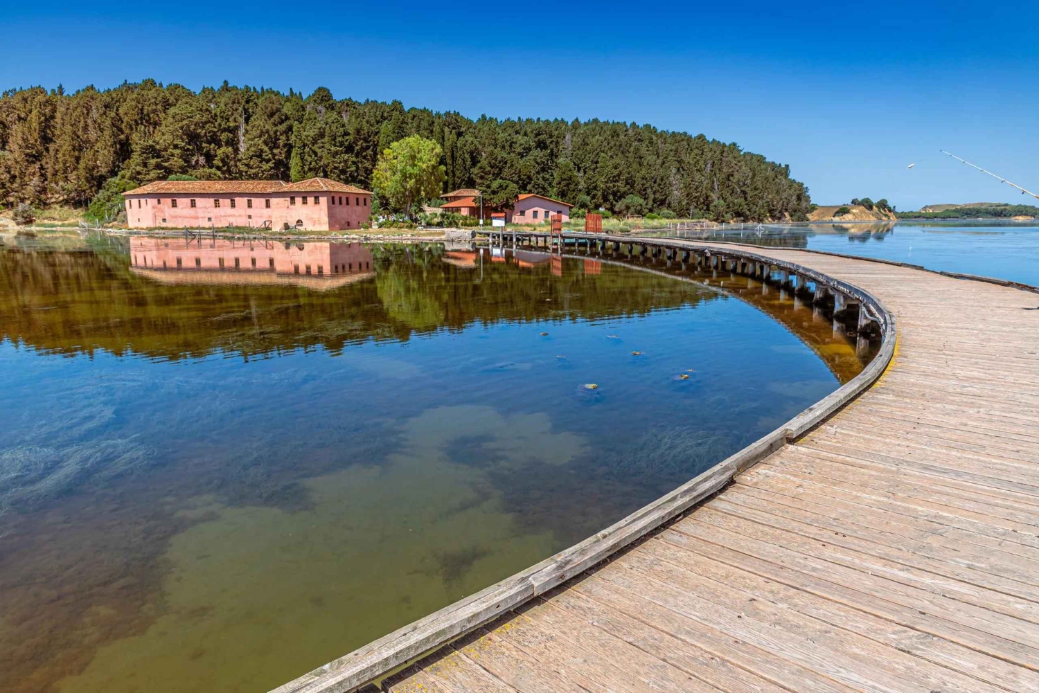Vanuit Tirana/Durrës: dagtocht naar Apollonia en het Zvernec-klooster