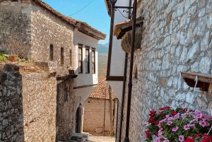 Au départ de Tirana/Durres : Excursion d'une journée dans la vieille ville de Berat et le lac Belshi