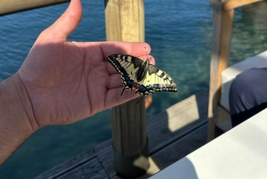Fra Tirana: Durres by- og stranddag med parasoll inkludert.