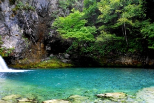 From Tirana & Durres: Day tour of Theth and Blue Eye
