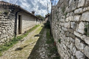 Von Tirana und Durres: Tagestour nach Berat und zum Belshi-See