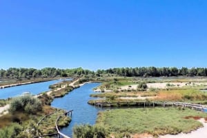 From Tirana/Durrës:Discover Karavasta Lagoon