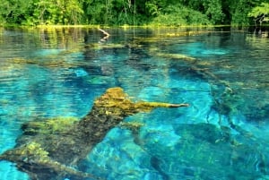 Von Tirana/Durrës/Golem: Tour in die UNESCO-Stadt Gjirokastra