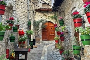 ティラナ/ドゥラス/ゴーレム発: ベラト (ユネスコ) とベルシ湖ツアー。