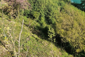 Da Tirana/Durazzo/Golem: Ksamil, Occhio Blu, Saranda (piccolo gruppo)