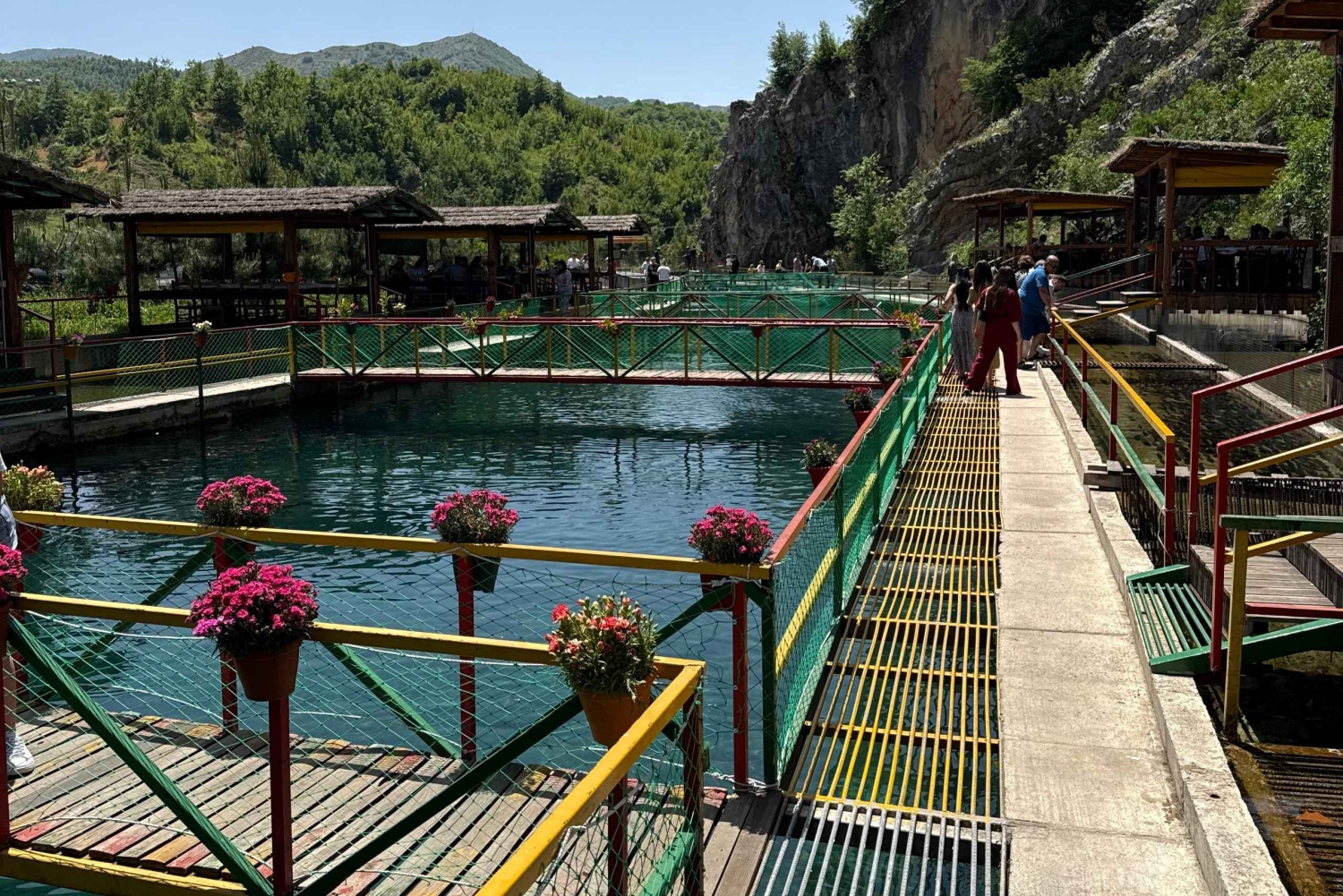 Från Tirana/Durres: Vandringstur i nationalparken Shebenik