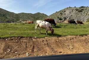 From Tirana/Durres:Hiking tour in National Park of Shebenik