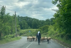 From Tirana/Durres:Hiking tour in National Park of Shebenik