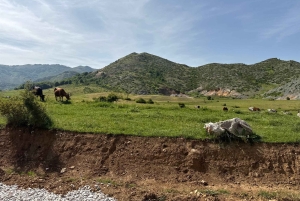 Från Tirana/Durres: Vandringstur i nationalparken Shebenik