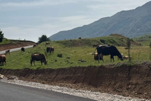 Från Tirana/Durres: Vandringstur i nationalparken Shebenik