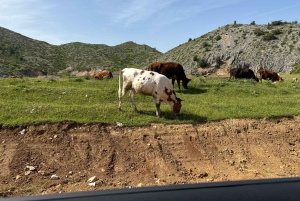 Från Tirana/Durres: Vandringstur i nationalparken Shebenik