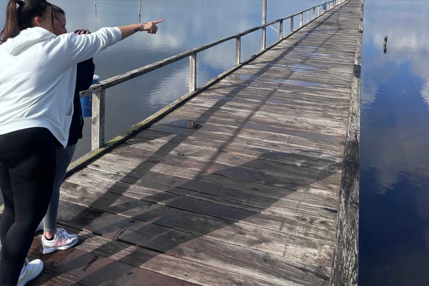 Fra Tirana/Durres: Karavasta Lagoon 4x4 Offroad Tour.