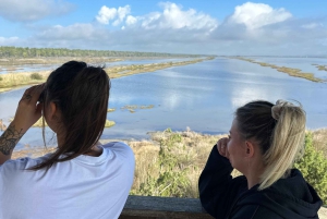 Fra Tirana/Durres: Karavasta Lagoon 4x4 Offroad Tour.