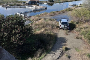 Fra Tirana/Durres: Karavasta Lagoon 4x4 Offroad Tour.