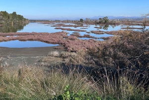 Fra Tirana/Durres: Karavasta Lagoon 4x4 Offroad Tour.