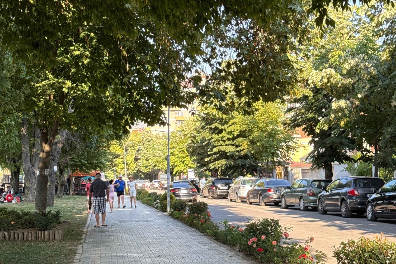 Vanuit Tirana/Durres: Korca, Voskopoja, Pogradec,Lin Dagtocht