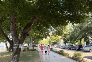 From Tirana/Durres: Korca, Voskopoja, Pogradec,Lin Day Tour