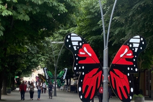 Vanuit Tirana/Durres: Korca, Voskopoja, Pogradec,Lin Dagtocht