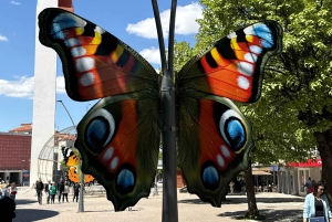 Vanuit Tirana/Durres: Korca, Voskopoja, Pogradec,Lin Dagtocht