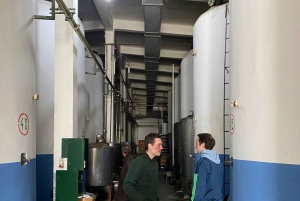 ティラナ/ドゥラスから：ソビエト連邦のワイナリー・リブラズドでのワイン試飲