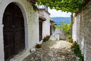 Au départ de Tirana et Durres : Excursion privée d'une journée à Apollonia, Berat