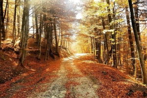 From Tirana / Durrës: Qafë-Shtamë, Sarisalltik & Krujë Tour