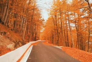 From Tirana / Durrës: Qafë-Shtamë, Sarisalltik & Krujë Tour