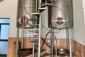 Vanuit Tirana/Durres: WIJNPROEVERIJ IN DE USSR-WIJNGAARD LIBRAZHD