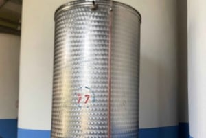 Vanuit Tirana/Durres: WIJNPROEVERIJ IN DE USSR-WIJNGAARD LIBRAZHD