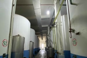 Vanuit Tirana/Durres: WIJNPROEVERIJ IN DE USSR-WIJNGAARD LIBRAZHD