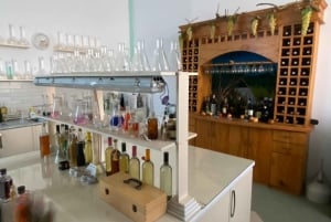 Vanuit Tirana/Durres: WIJNPROEVERIJ IN DE USSR-WIJNGAARD LIBRAZHD