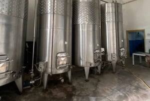 Vanuit Tirana/Durres: WIJNPROEVERIJ IN DE USSR-WIJNGAARD LIBRAZHD