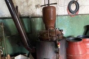 Vanuit Tirana/Durres: WIJNPROEVERIJ IN DE USSR-WIJNGAARD LIBRAZHD